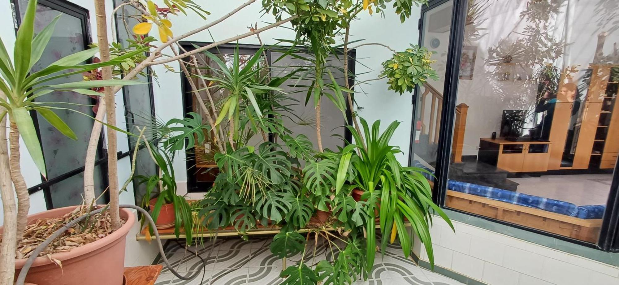The Roof Garden Maisonette マルサスカーラ エクステリア 写真